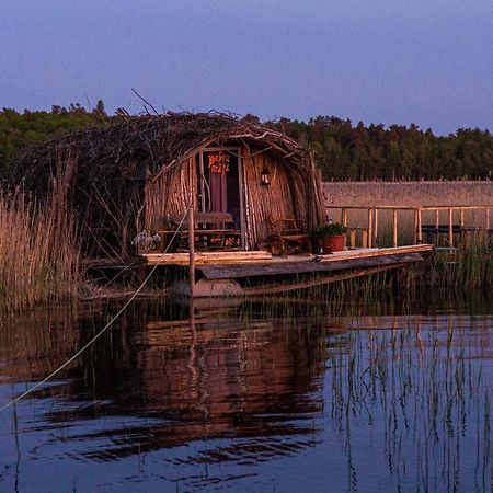 Bebru Maja - Beaver House Usma Zewnętrze zdjęcie