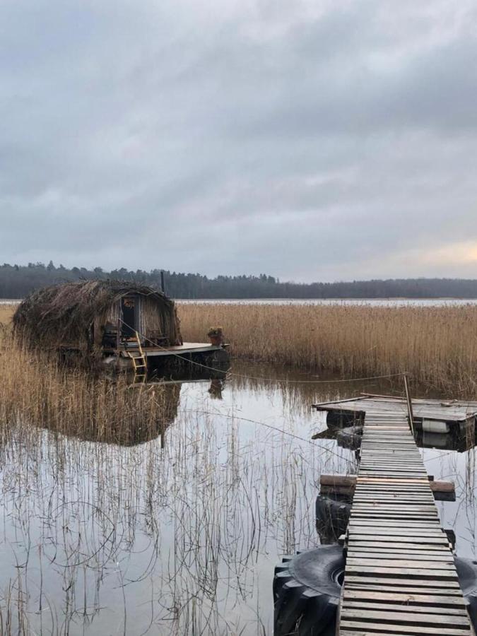 Bebru Maja - Beaver House Usma Zewnętrze zdjęcie