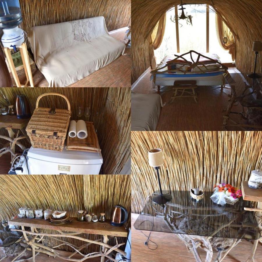 Bebru Maja - Beaver House Usma Zewnętrze zdjęcie