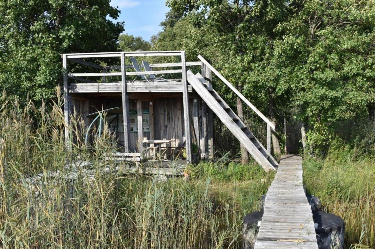 Bebru Maja - Beaver House Usma Zewnętrze zdjęcie