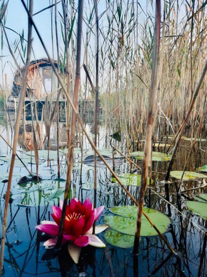 Bebru Maja - Beaver House Usma Zewnętrze zdjęcie