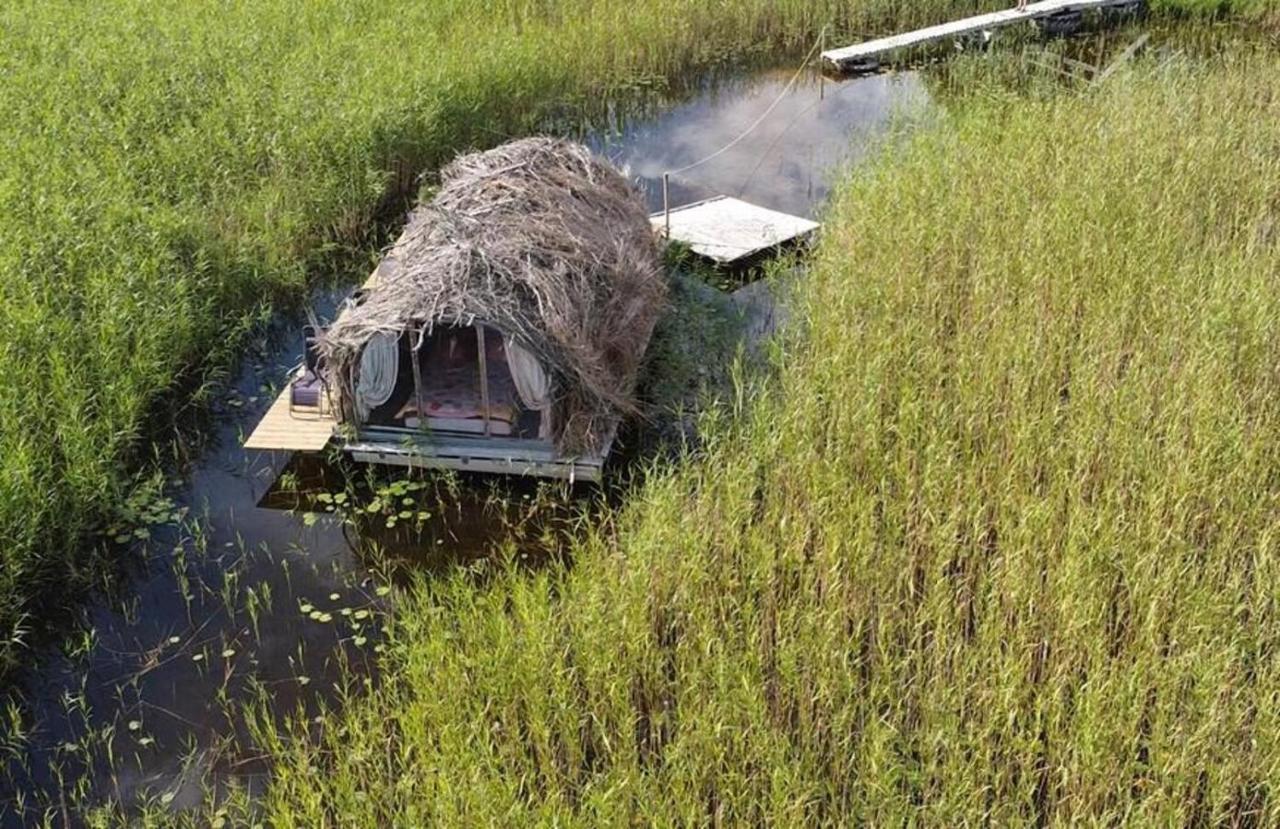 Bebru Maja - Beaver House Usma Zewnętrze zdjęcie